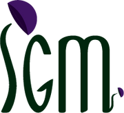 Shine of Great Mysteries